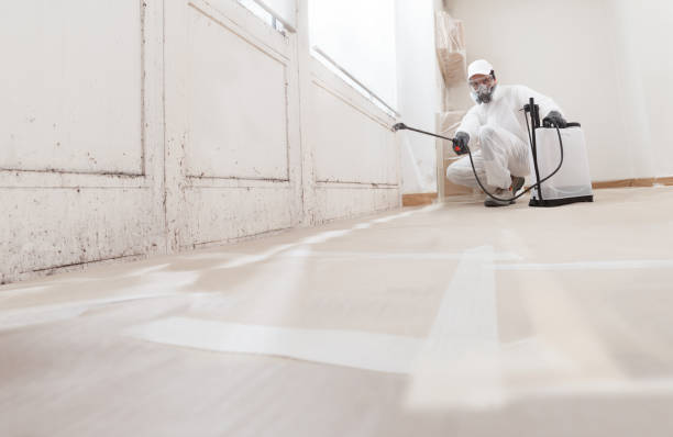 24/7 Emergency Attic Mold Removal experts in Washington Crossing, PA